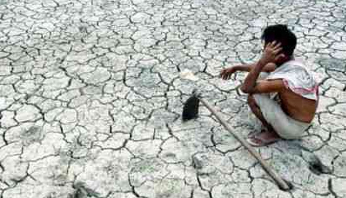 473489-maha-farmer-copy.jpg