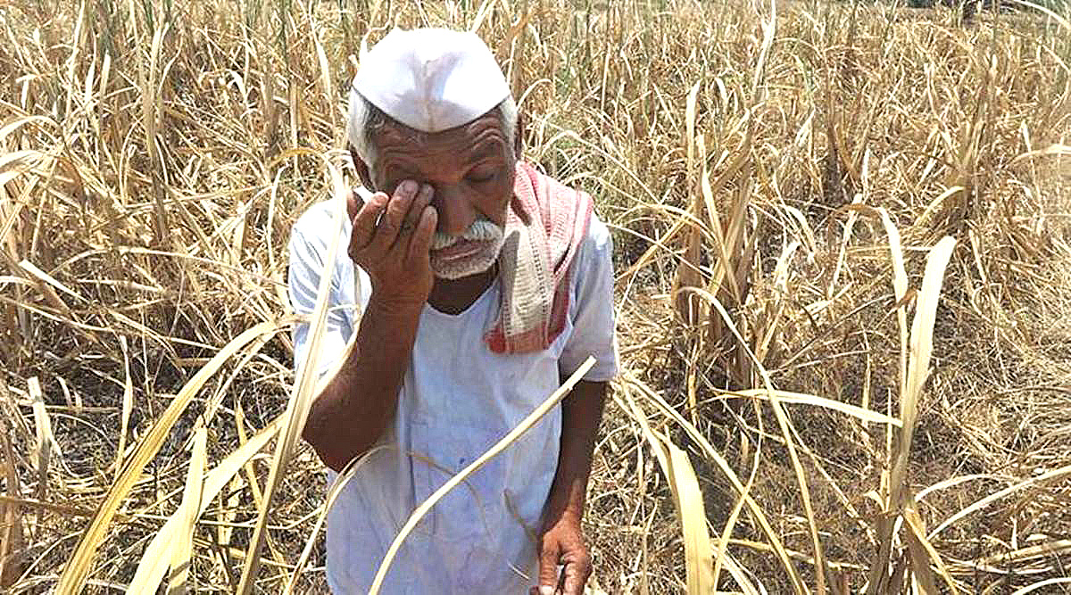 farmers-12001.jpg